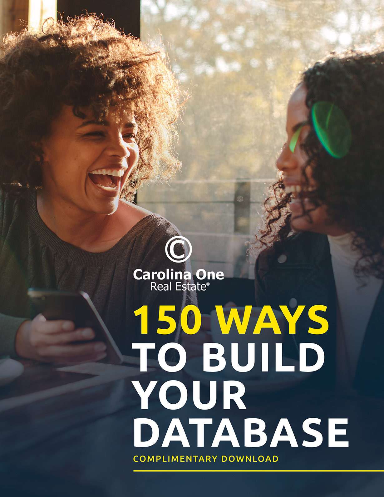 Carolina One Real Estate 150 Ways to Build Your Database Download